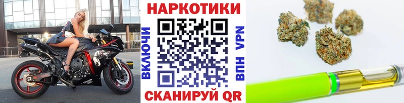 Альфа ПВП Череповец