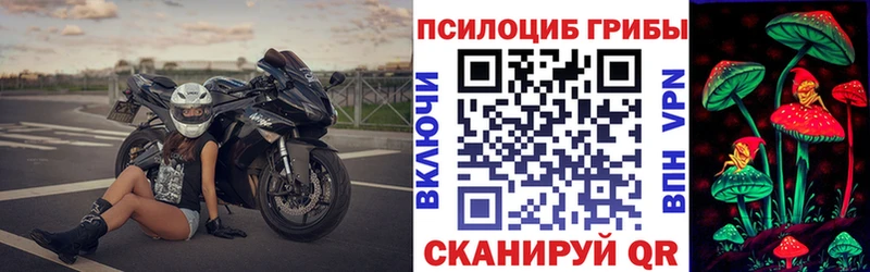 Псилоцибиновые грибы GOLDEN TEACHER  Череповец 